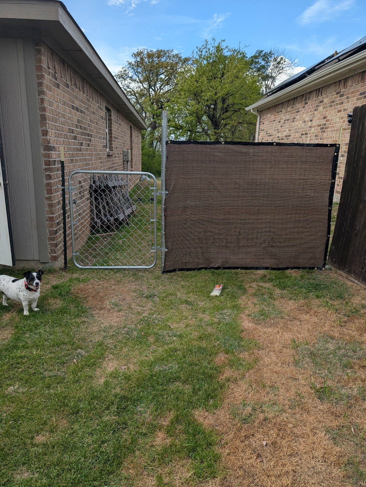 Repaired privacy fence panel